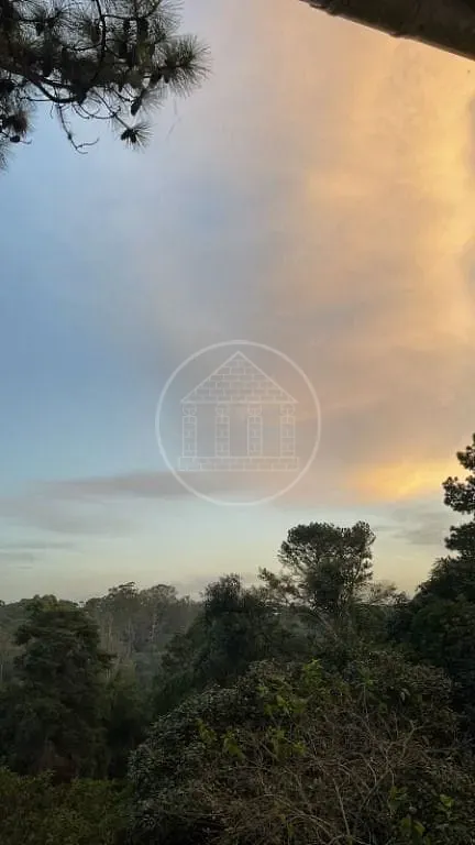 Casa, 3 quartos, 333 m² - Foto 4