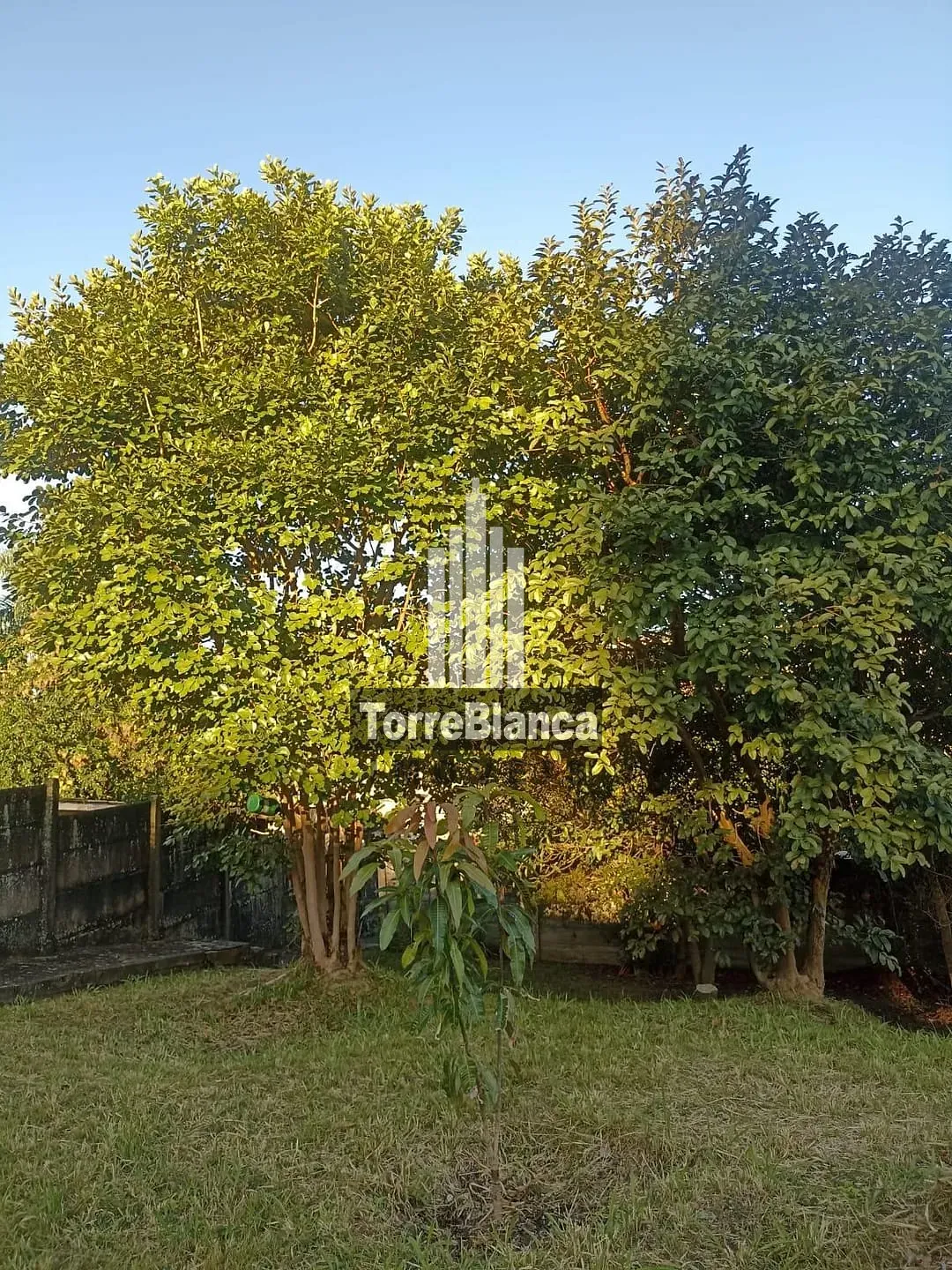 Casa, 3 quartos, 114 m² - Foto 27