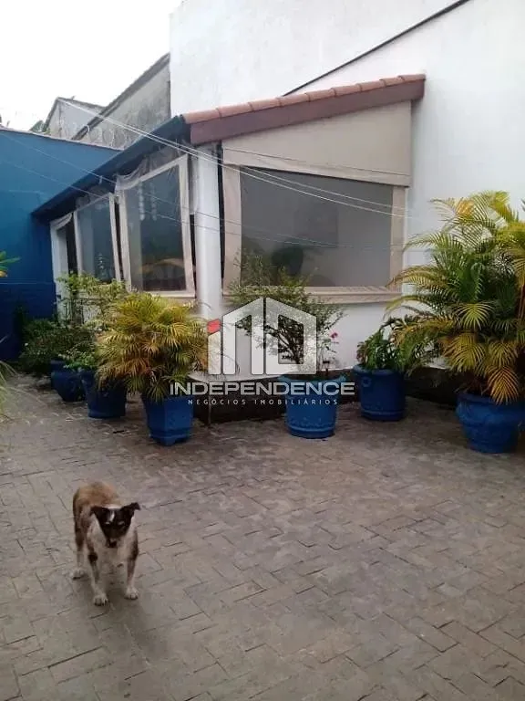 Casa, 3 quartos, 236 m² - Foto 6
