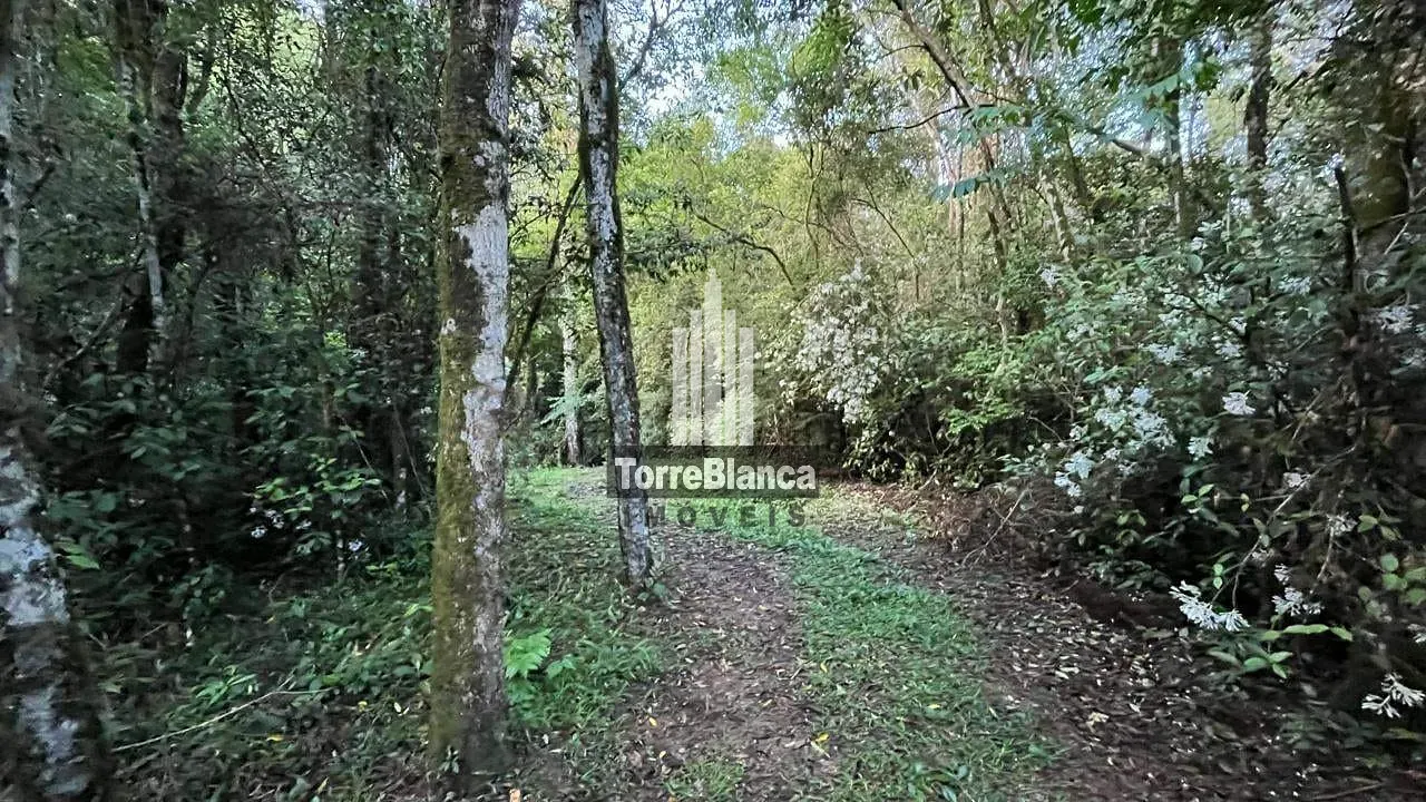 Casa, 3 quartos, 140 m² - Foto 72
