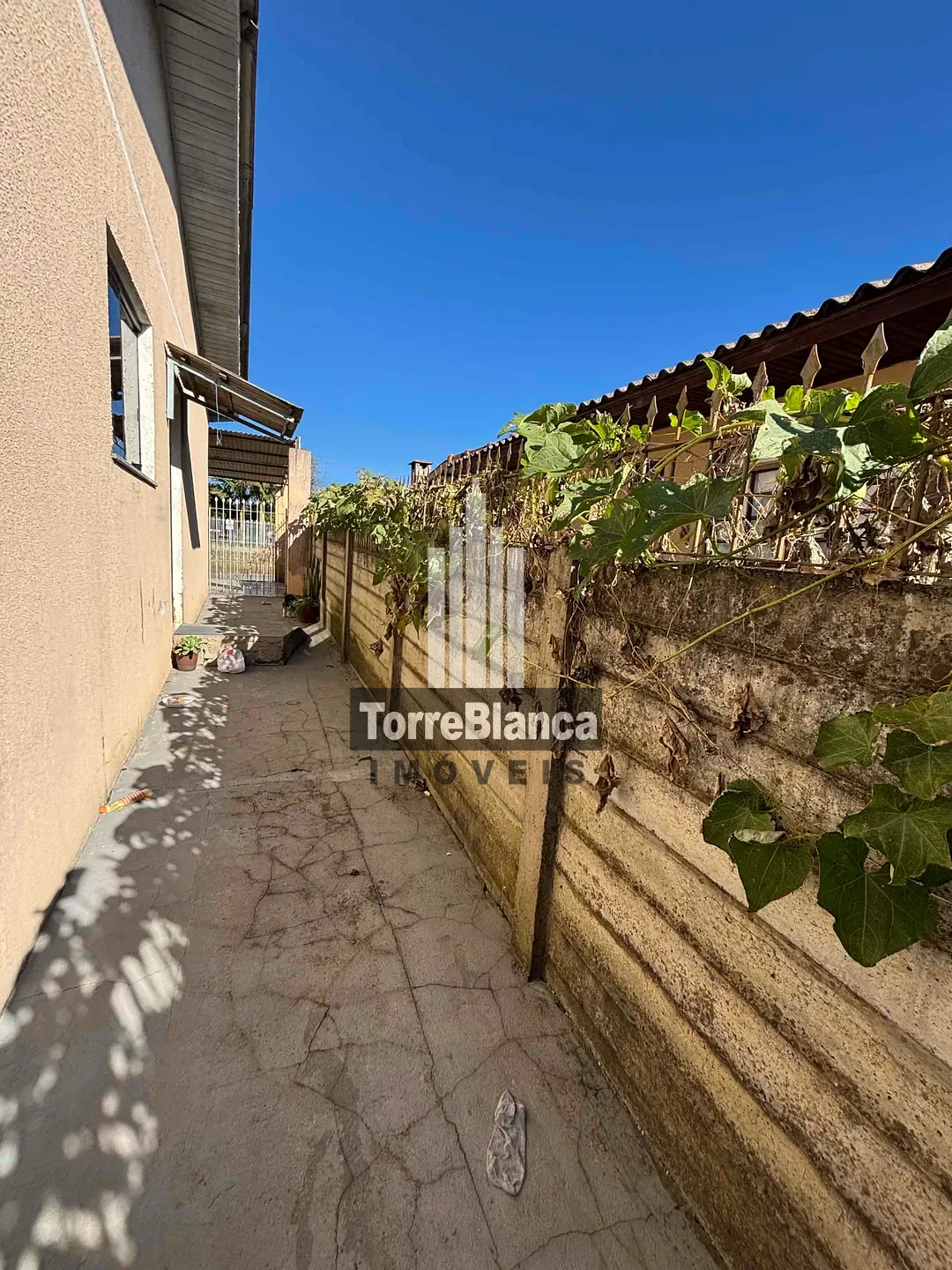 Casa, 4 quartos, 180 m² - Foto 6