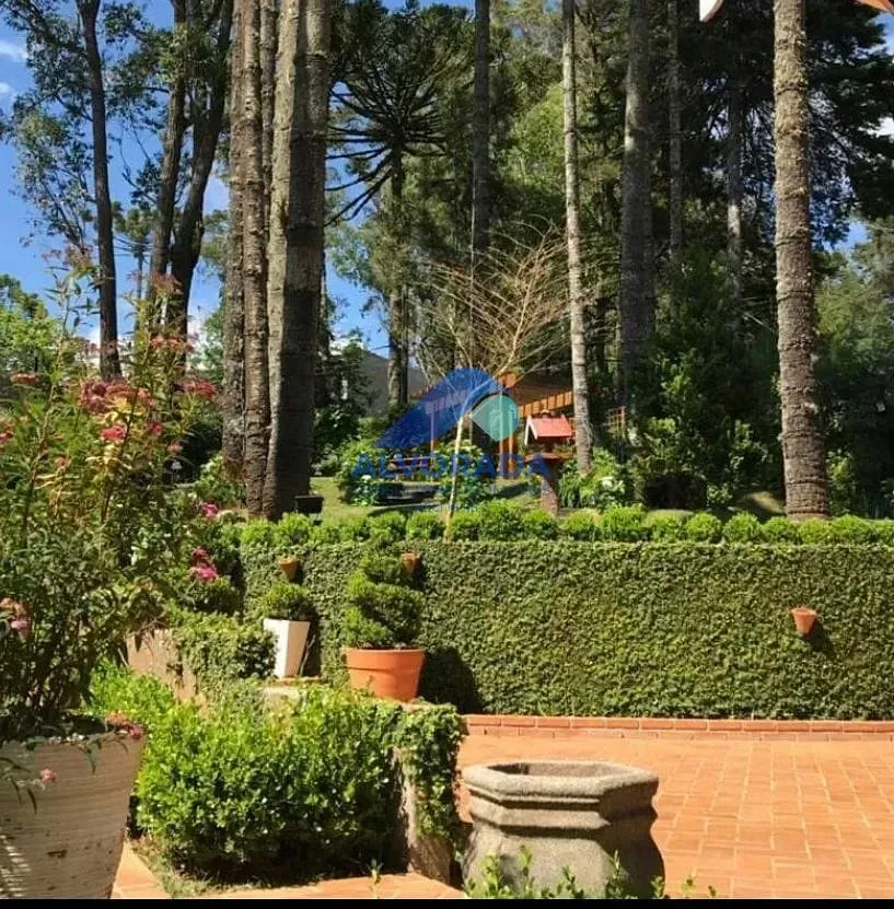 Casa, 3 quartos, 240 m² - Foto 6