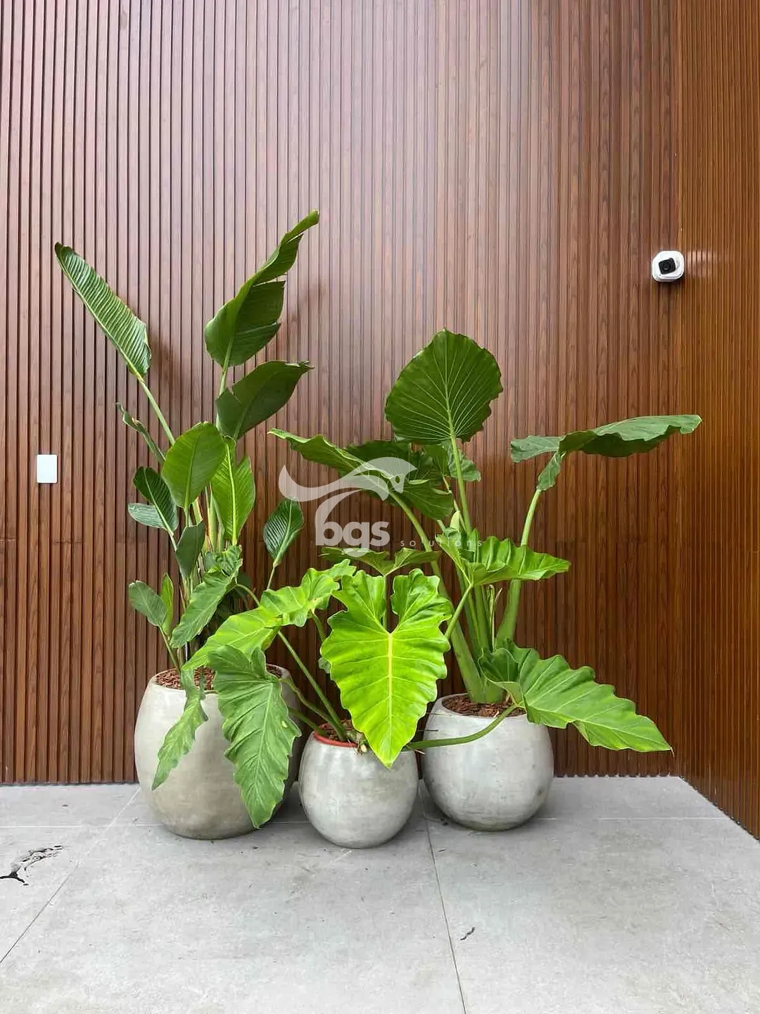 Casa, 5 quartos, 1030 m² - Foto 24