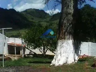Casa, 3 quartos, 300 m² - Foto 20