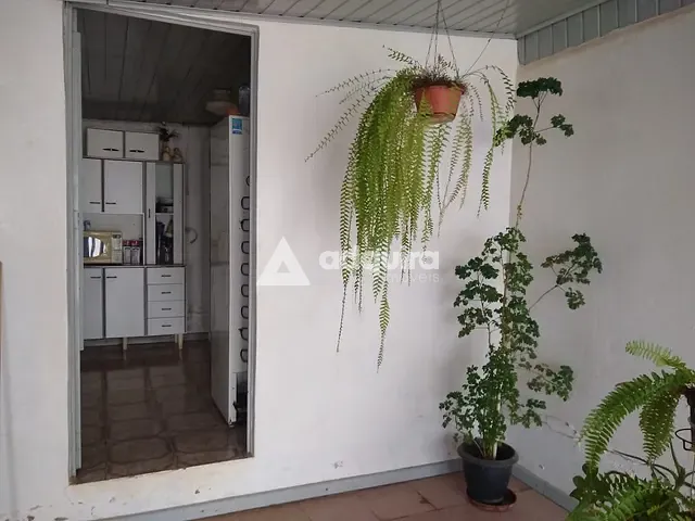 Casa com 490m² 3 quartos e 1 banheiro, à venda, no bairro Piriquitos em Ponta Grossa