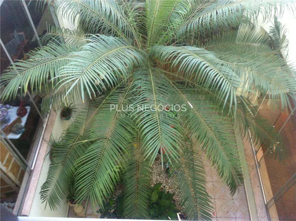 Casa, 4 quartos, 526 m² - Foto 14