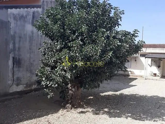 Casa com 260m² 1 quarto e 1 banheiro, à venda, no bairro Parque São Domingos em Pindamonhangaba