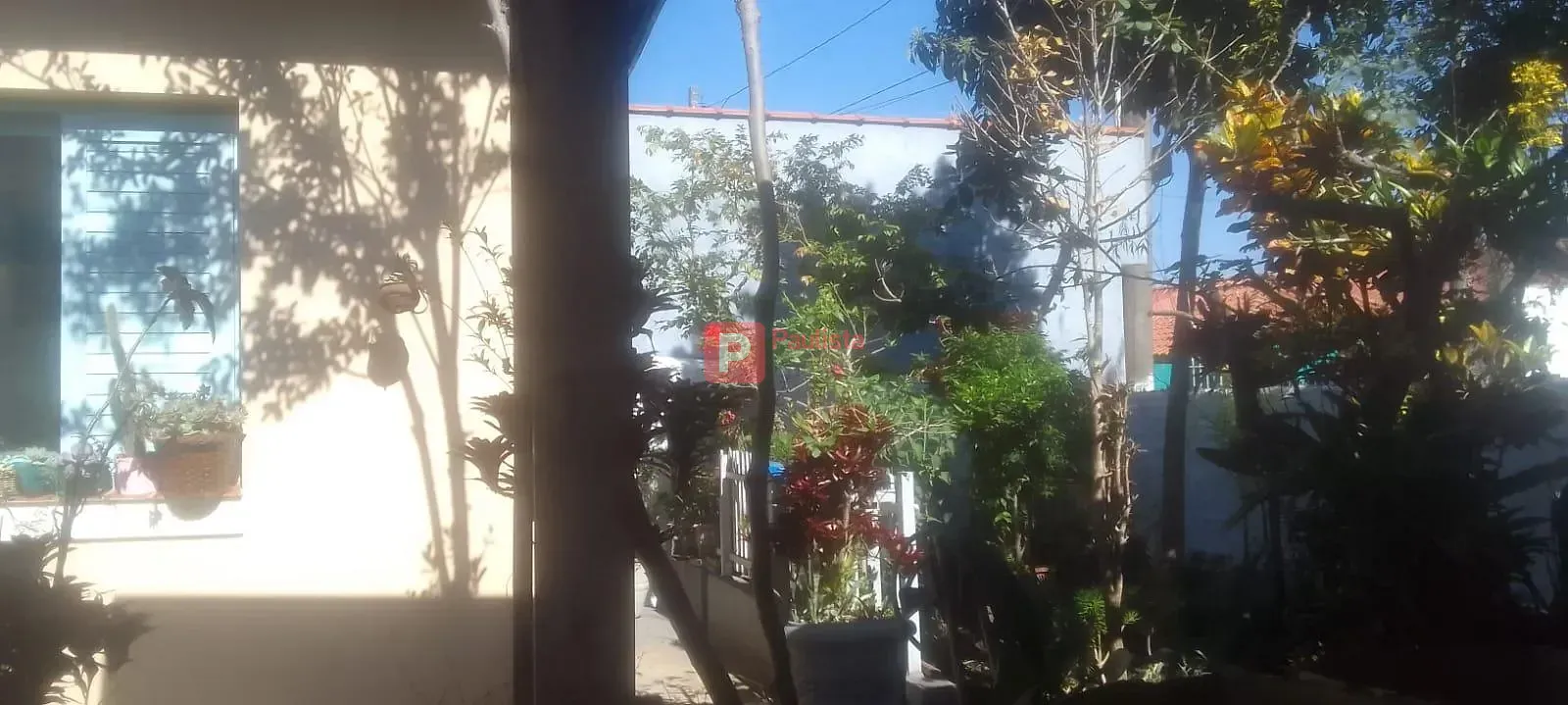 Foto 11