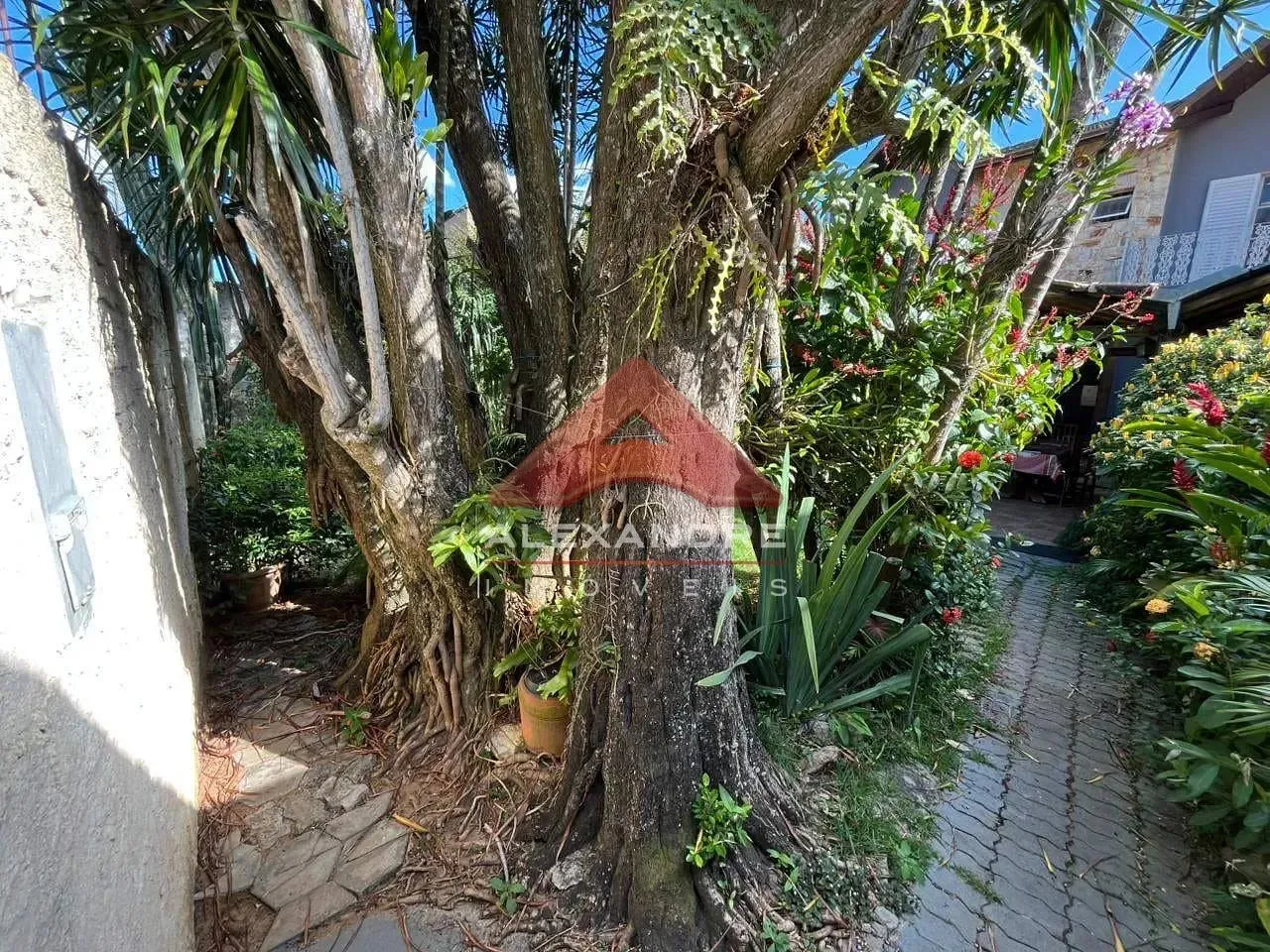 Casa, 4 quartos, 93 m² - Foto 12