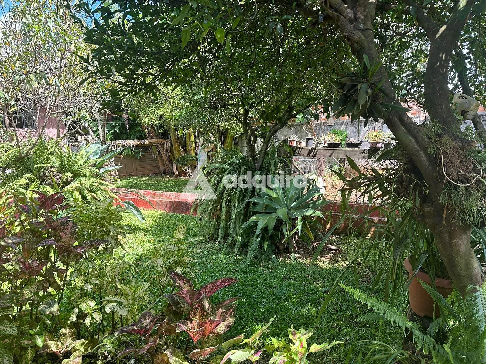 Casa, 5 quartos, 247 m² - Foto 15