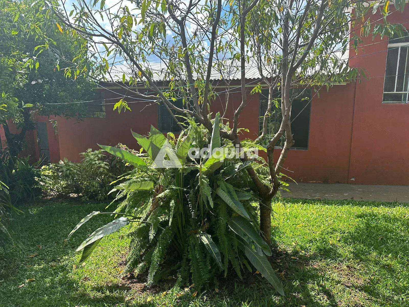 Casa, 5 quartos, 247 m² - Foto 17