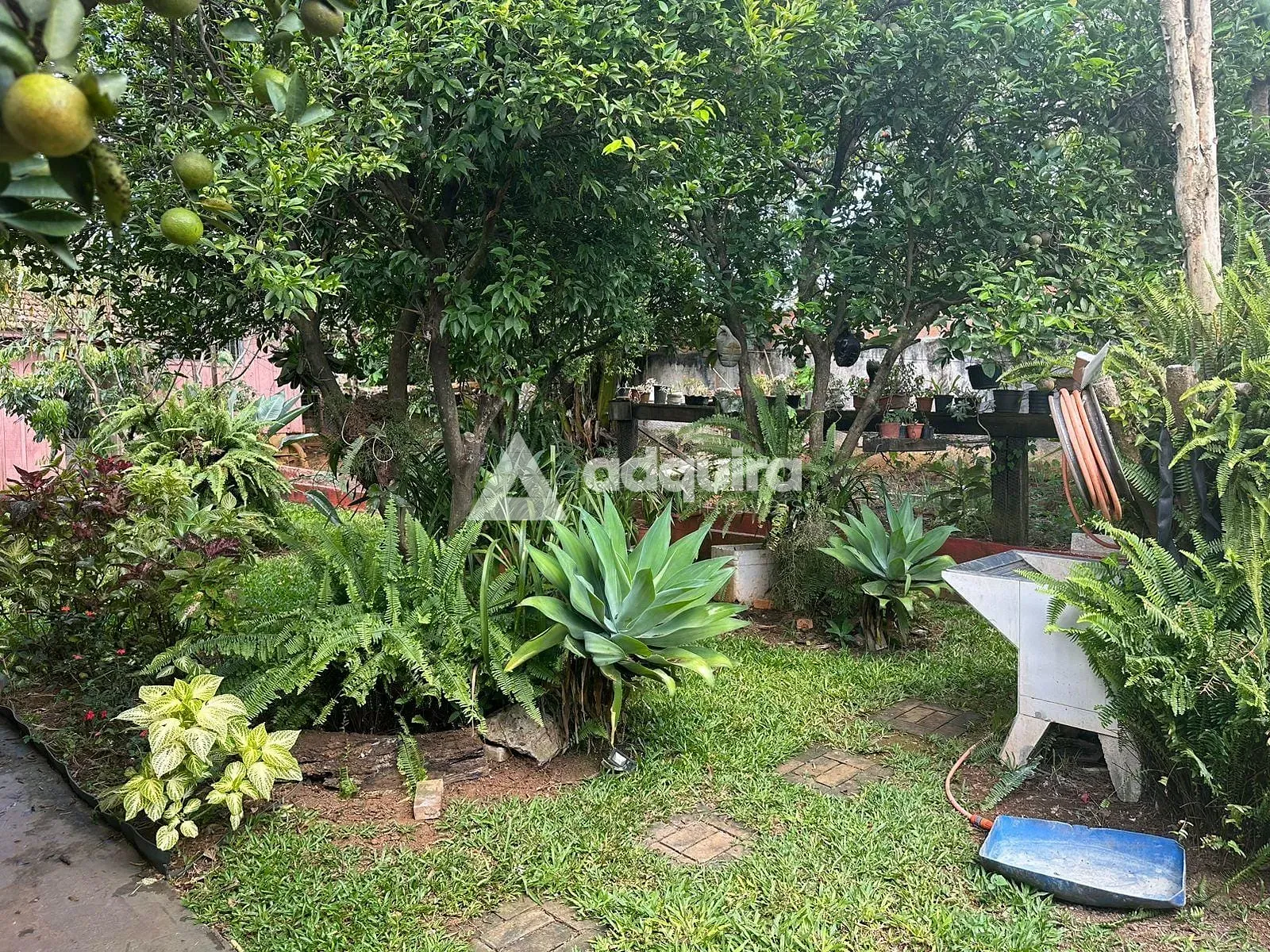 Casa, 5 quartos, 247 m² - Foto 18
