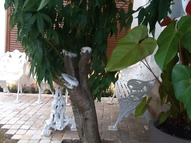 Casa com 460m² 4 quartos e 6 banheiros, à venda, no bairro Tamboré em Barueri