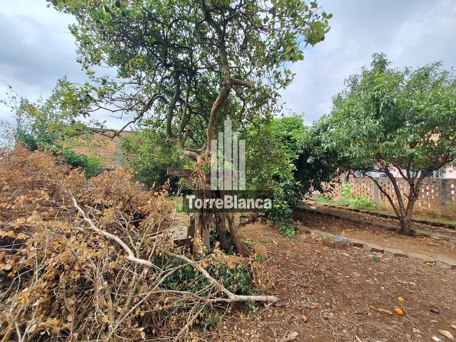 Casa, 4 quartos, 170 m² - Foto 25