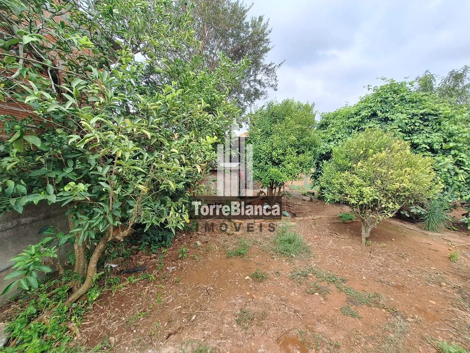 Casa, 4 quartos, 170 m² - Foto 27