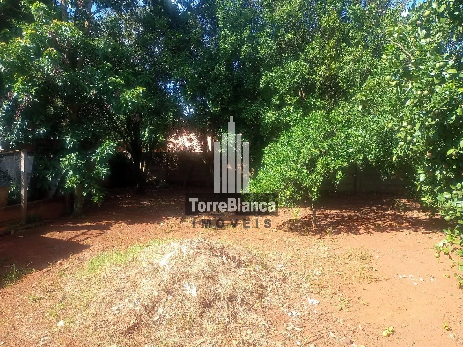 Casa, 3 quartos, 120 m² - Foto 8