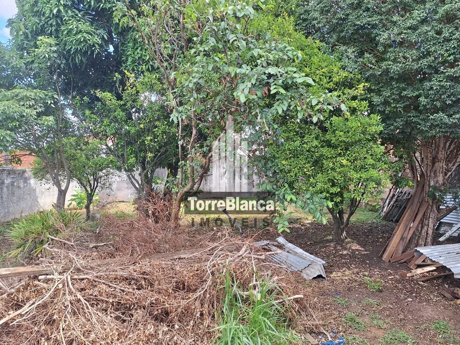 Casa, 3 quartos, 80 m² - Foto 4