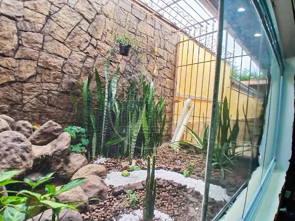 Casa, 4 quartos, 280 m² - Foto 3