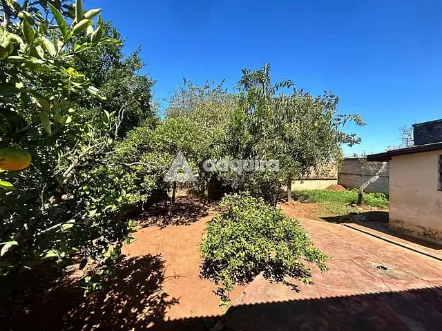 Casa com 462m² 3 quartos e 1 banheiro, à venda, no bairro Uvaranas em Ponta Grossa