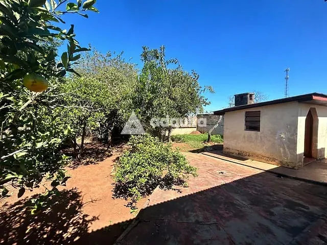 Casa com 462m² 3 quartos e 1 banheiro, à venda, no bairro Uvaranas em Ponta Grossa
