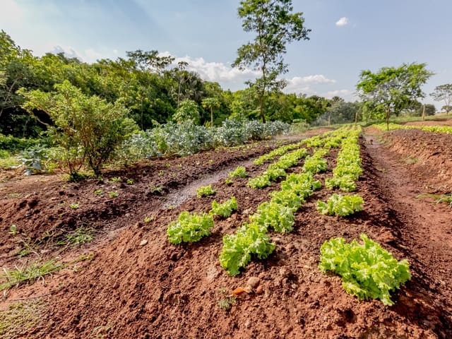 Casa Térrea com 4 quartos para venda na Reserva da Coroa no Condomínio Portal do Sol Green em Goiânia - Foto