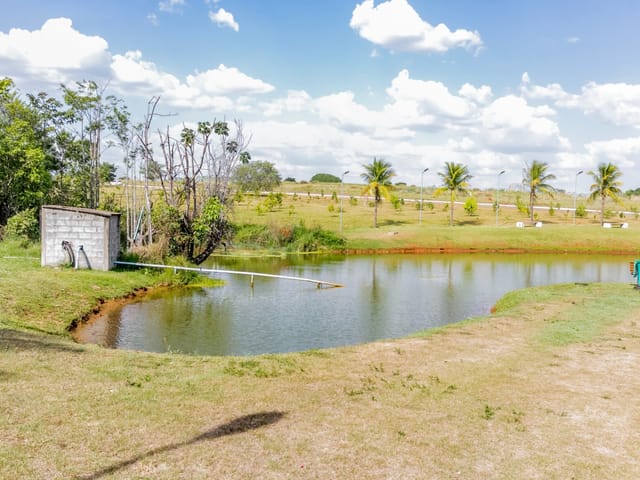 Casa Térrea com 4 quartos para venda na Reserva da Coroa no Condomínio Portal do Sol Green em Goiânia - Foto