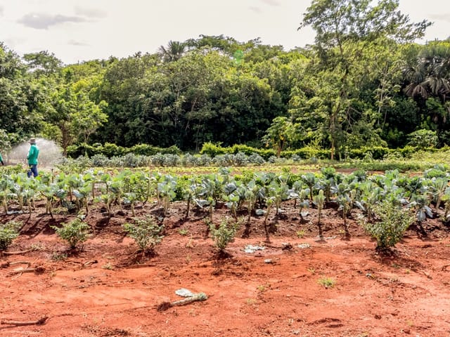 Casa Térrea com 4 quartos para venda na Reserva da Coroa no Condomínio Portal do Sol Green em Goiânia - Foto