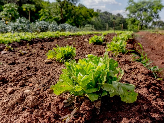 Casa Térrea com 4 quartos para venda na Reserva da Coroa no Condomínio Portal do Sol Green em Goiânia - Foto