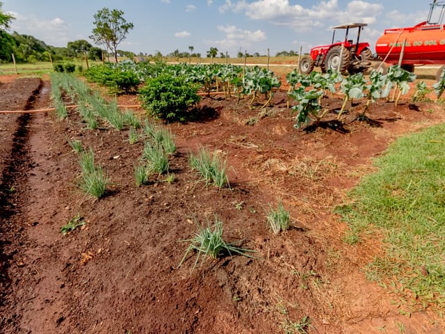 Casa Térrea com 4 quartos para venda na Reserva da Coroa no Condomínio Portal do Sol Green em Goiânia - Foto