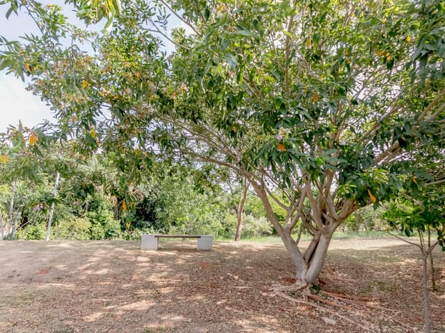 Casa Térrea com 4 quartos para venda na Reserva da Coroa no Condomínio Portal do Sol Green em Goiânia - Foto