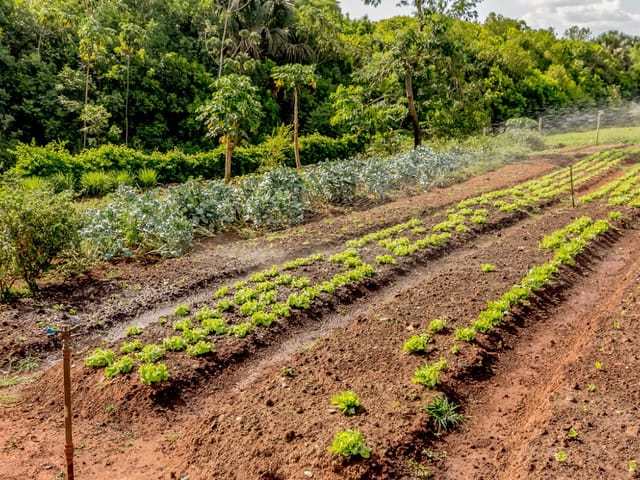 Casa Térrea com 4 quartos para venda na Reserva da Coroa no Condomínio Portal do Sol Green em Goiânia - Foto