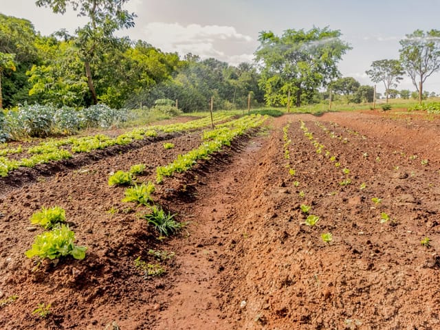 Casa Térrea com 4 quartos para venda na Reserva da Coroa no Condomínio Portal do Sol Green em Goiânia - Foto
