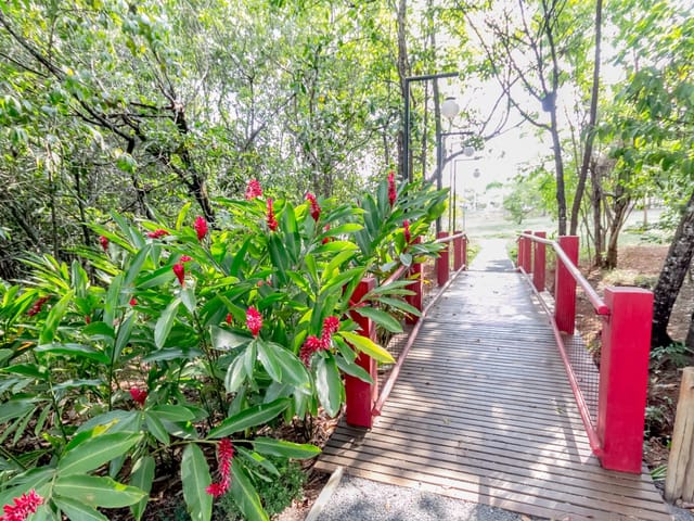 Casa Térrea com 4 quartos para venda na Reserva da Coroa no Condomínio Portal do Sol Green em Goiânia - Foto