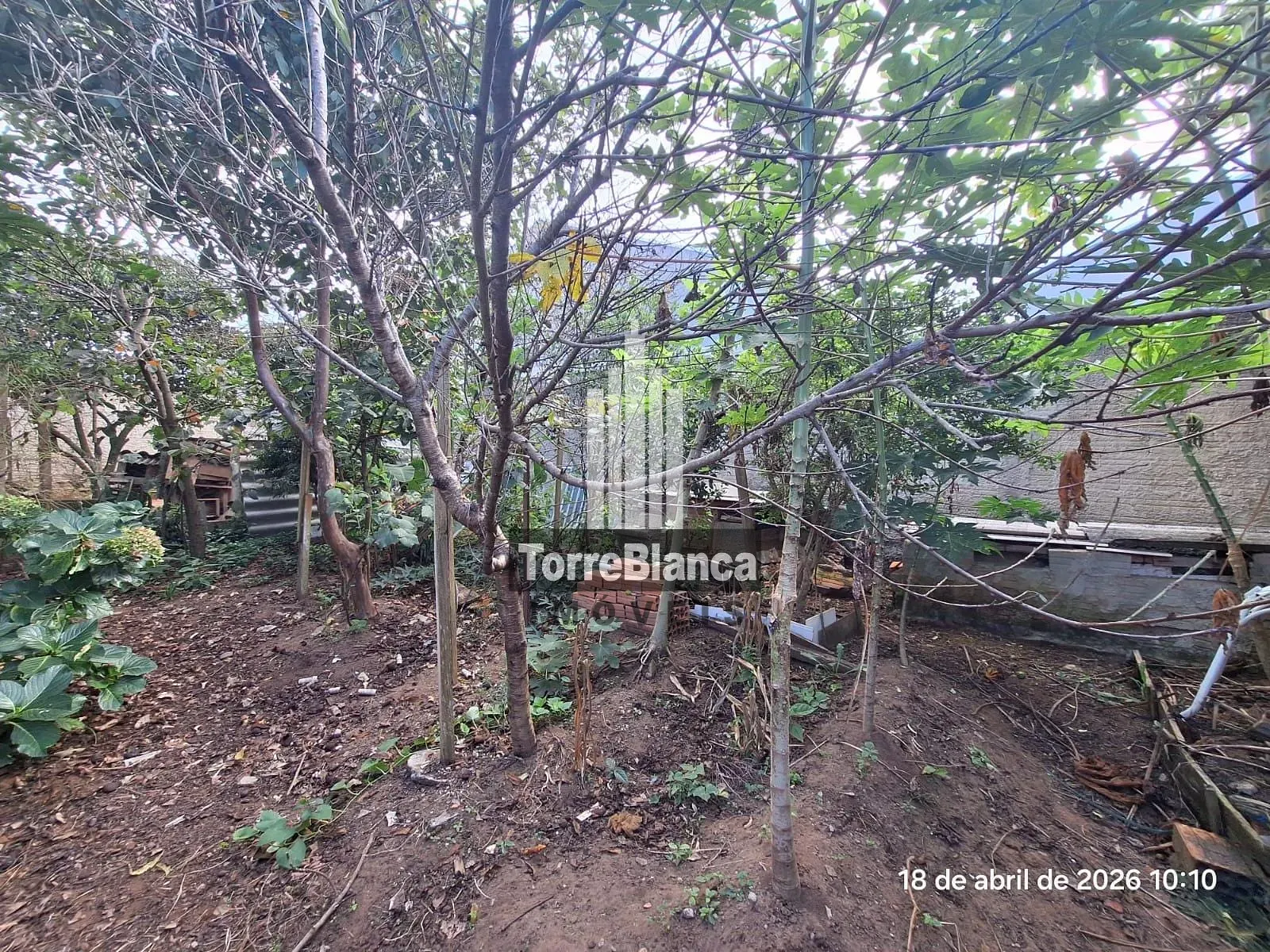 Casa, 2 quartos, 79 m² - Foto 19