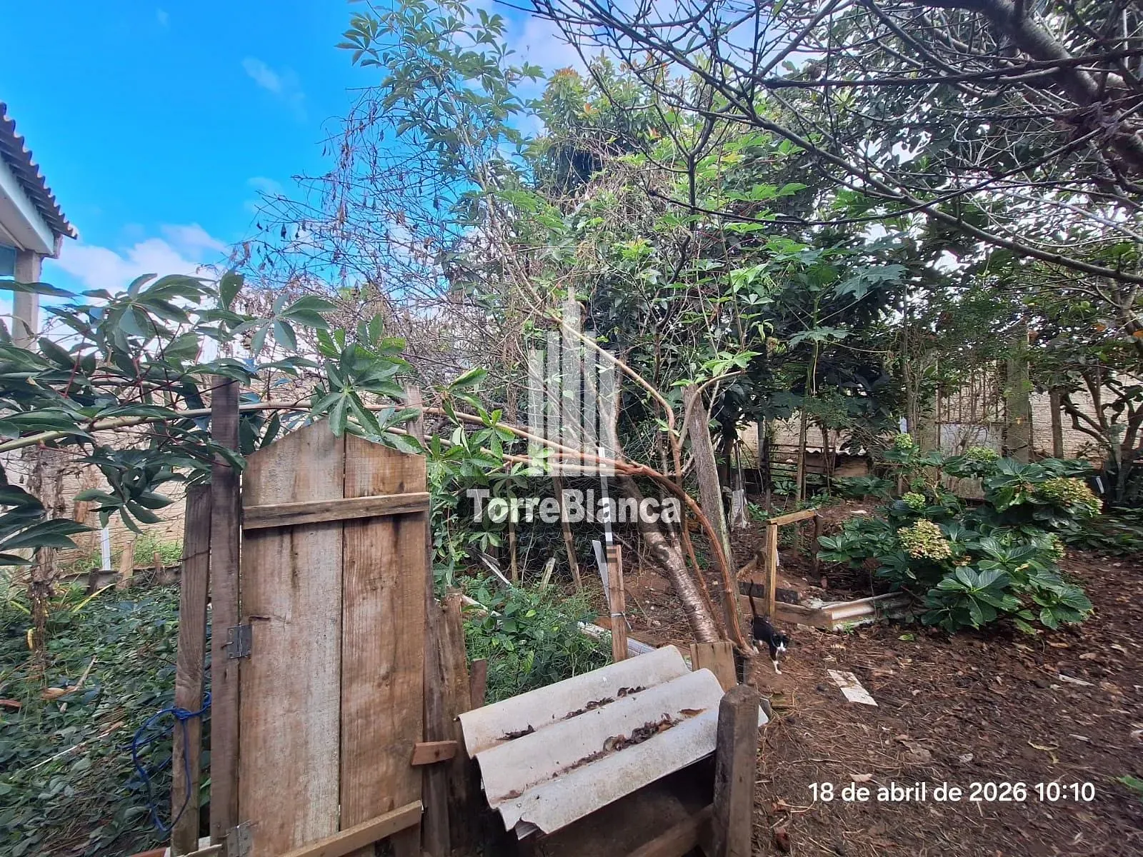 Casa, 2 quartos, 79 m² - Foto 18
