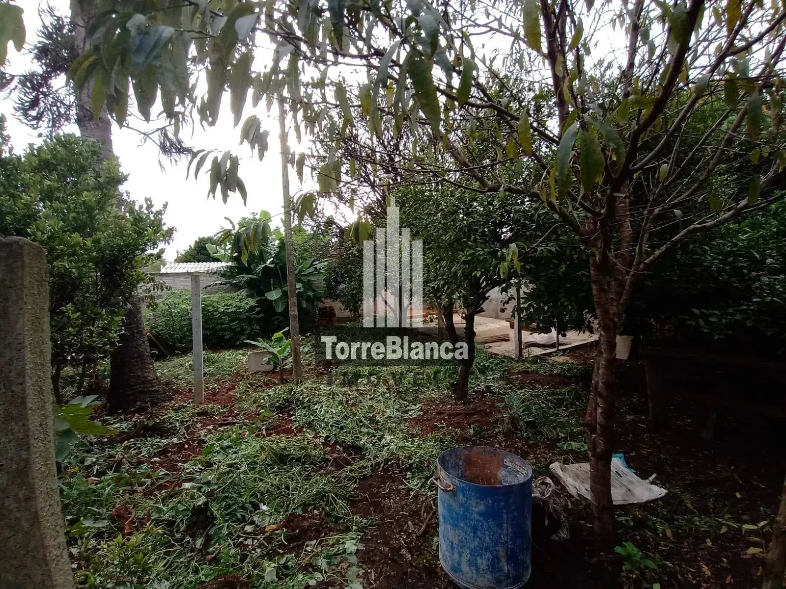 Casa, 2 quartos, 70 m² - Foto 21