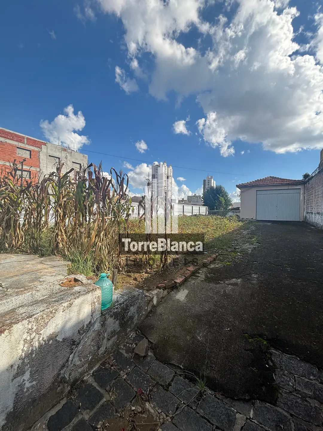 Casa, 5 quartos, 361 m² - Foto 60