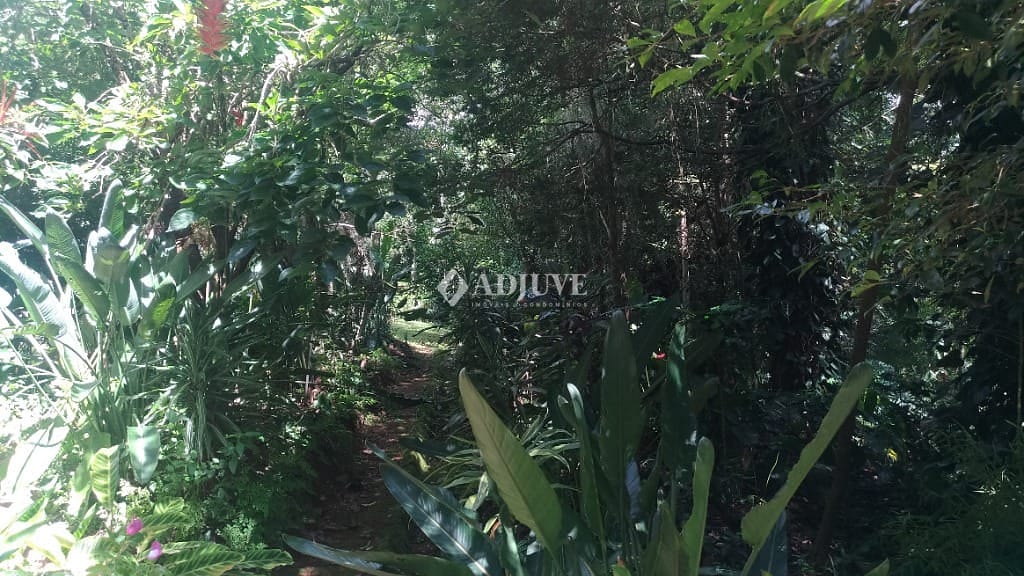 Casa, 3 quartos, 300 m² - Foto 2