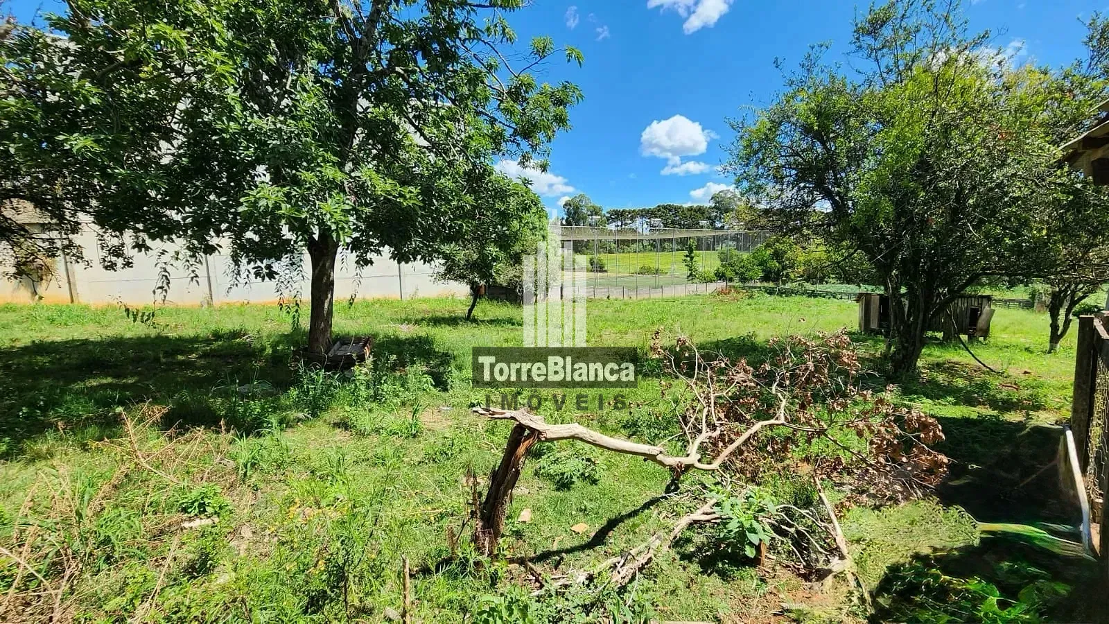 Casa, 1 quarto, 300 m² - Foto 4