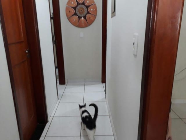 Foto do Casa - Casa à venda 3 Quartos, 1 Suite, 360M², Lourdes, Uberaba - MG | ZUCATO IMOBILIARIA LTDA