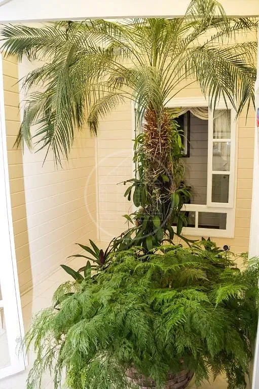 Casa, 4 quartos, 508 m² - Foto 7