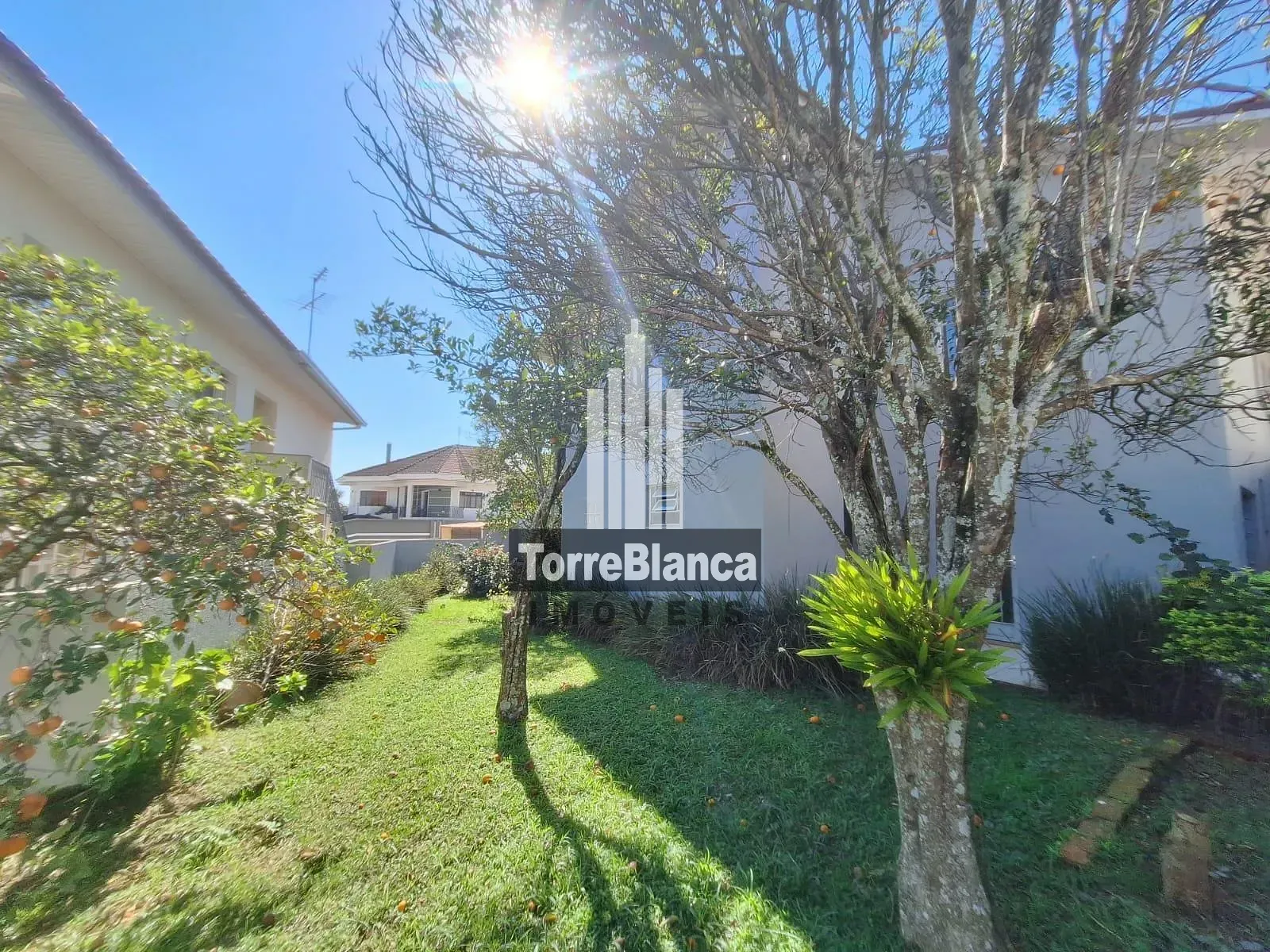 Casa, 4 quartos, 260 m² - Foto 42