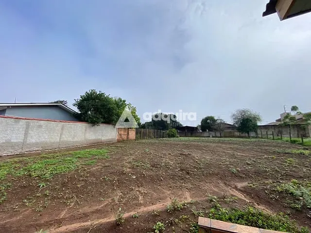 Casa com 1000m² 2 quartos e 1 banheiro, à venda, no bairro Colônia Dona Luíza em Ponta Grossa