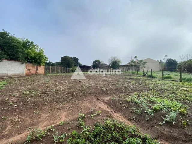 Casa com 1000m² 2 quartos e 1 banheiro, à venda, no bairro Colônia Dona Luíza em Ponta Grossa