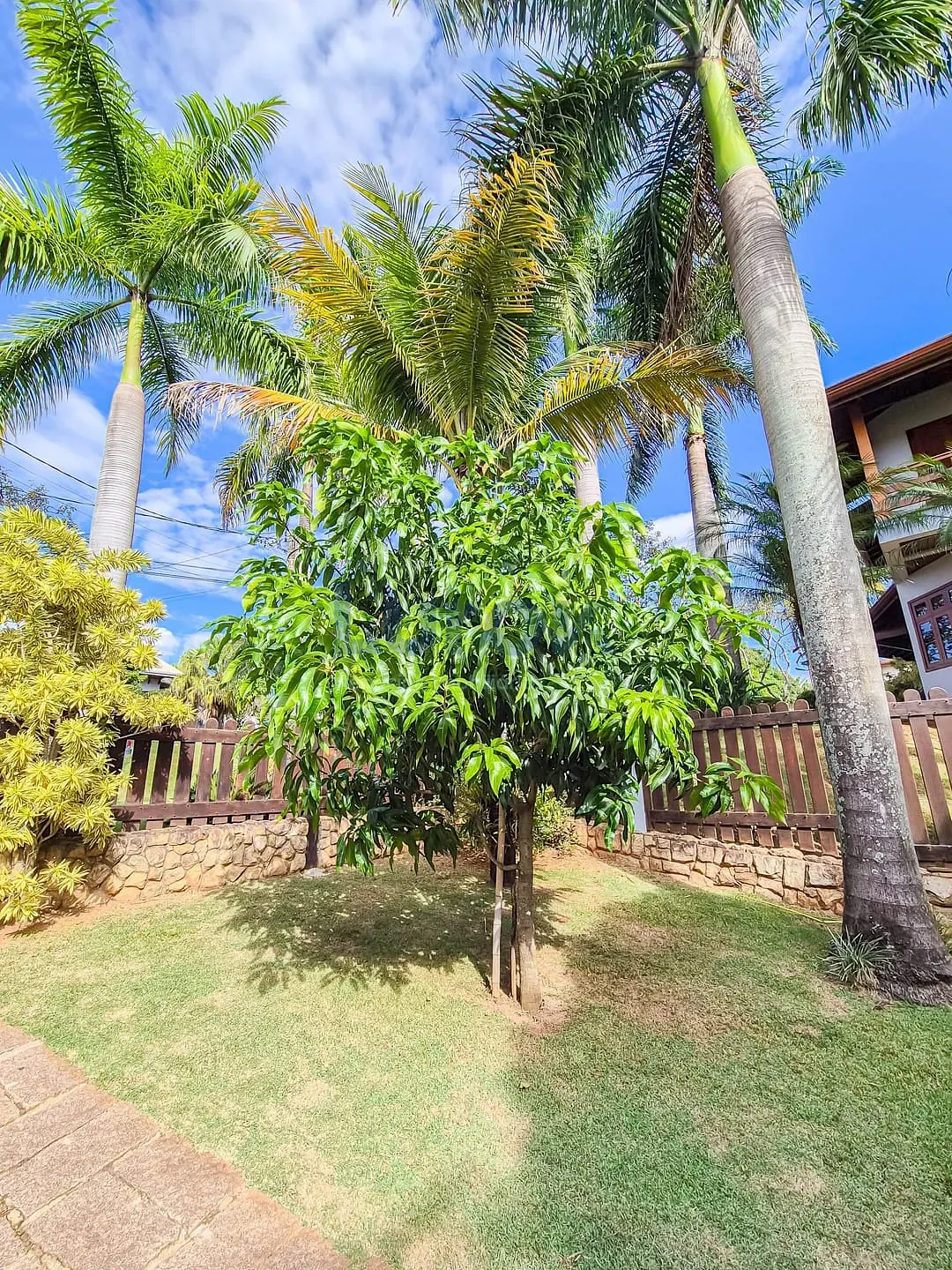 Casa, 4 quartos, 600 m² - Foto 45