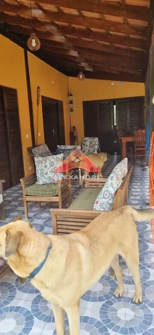 Casa, 4 quartos, 250 m² - Foto 35