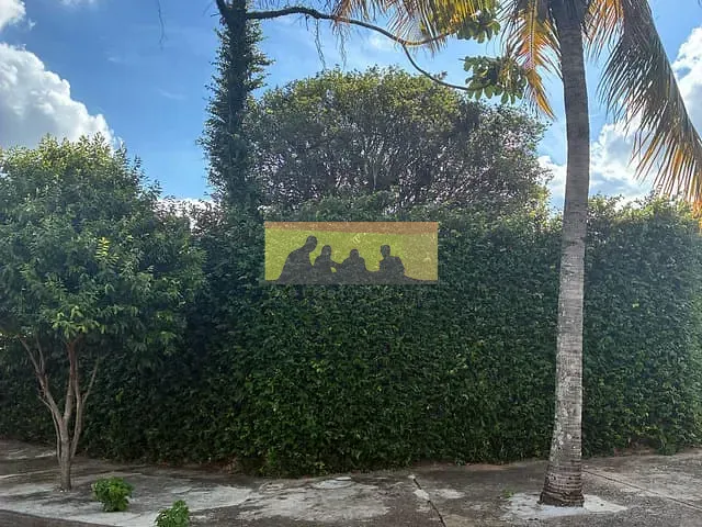Casa com 254m² 4 quartos e 3 banheiros, para alugar, no bairro Jardim São Gonçalo em Campinas