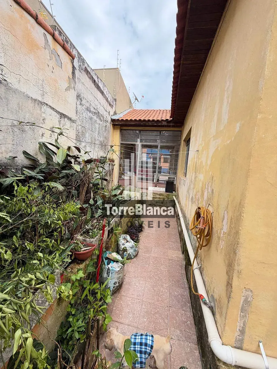Casa, 3 quartos, 160 m² - Foto 4
