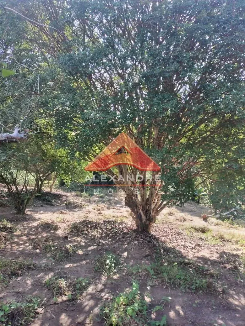 Casa, 1 quarto, 60 m² - Foto 13