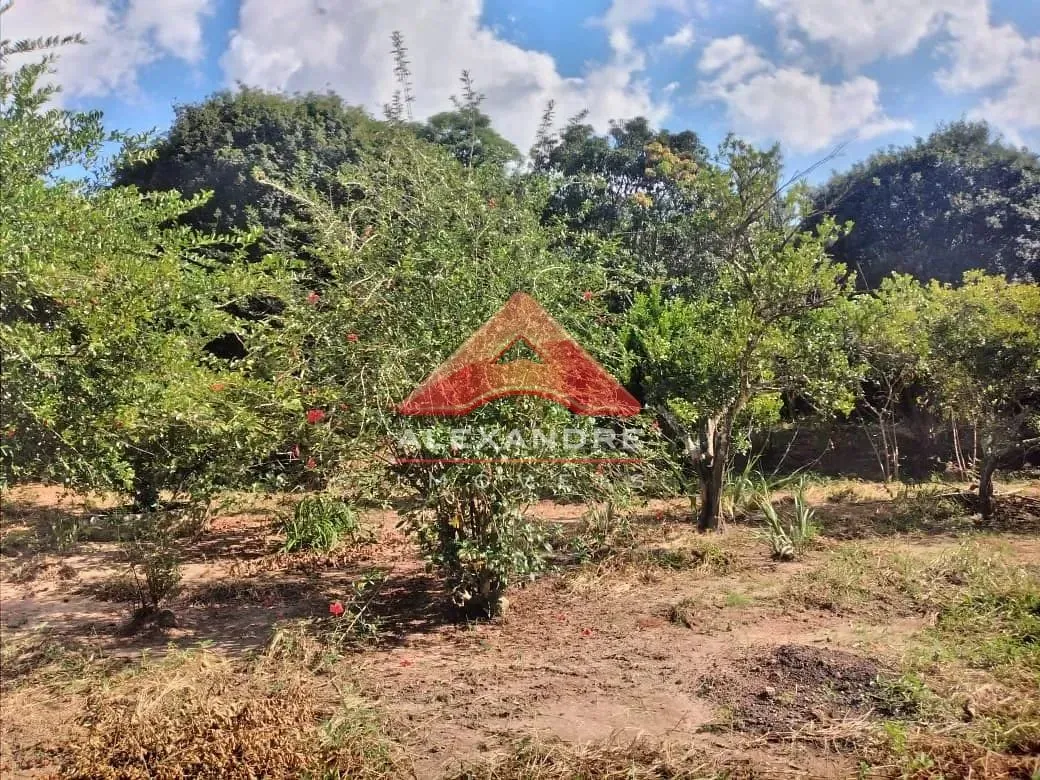 Casa, 1 quarto, 60 m² - Foto 6
